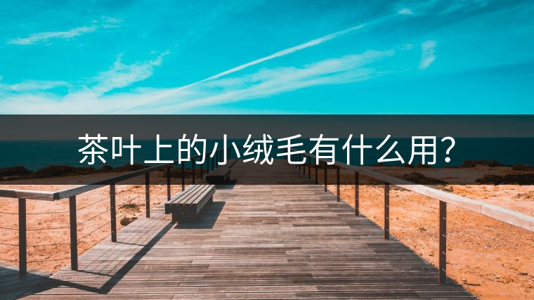 茶葉上的小絨毛有什么用？