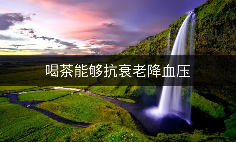 喝茶能夠抗衰老降血壓 喝茶能夠抗衰老降血壓