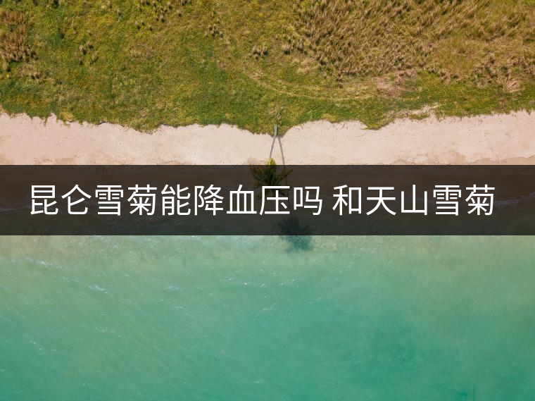 昆侖雪菊能降血壓嗎 和天山雪菊的區(qū)別 昆侖雪菊能降血壓嗎 和天山雪菊的區(qū)別