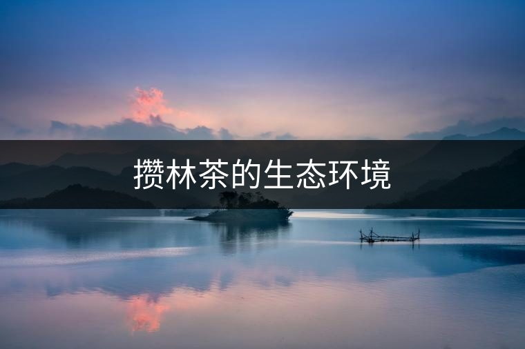 攢林茶的生態(tài)環(huán)境 攢林茶的生態(tài)環(huán)境