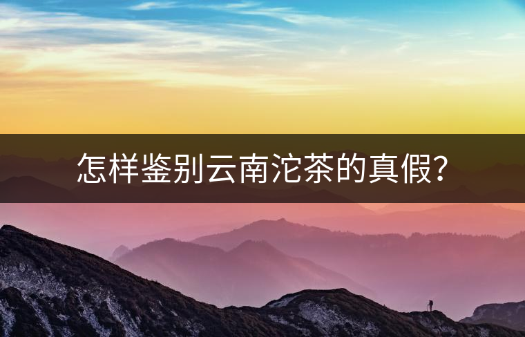 怎樣鑒別云南沱茶的真假？