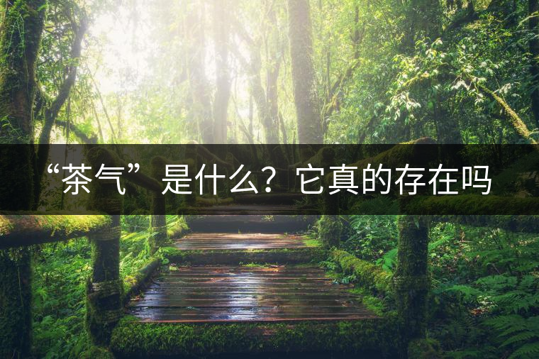 “茶氣”是什么？它真的存在嗎？
