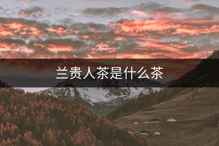 蘭貴人茶是什么茶 蘭貴人茶是什么茶
