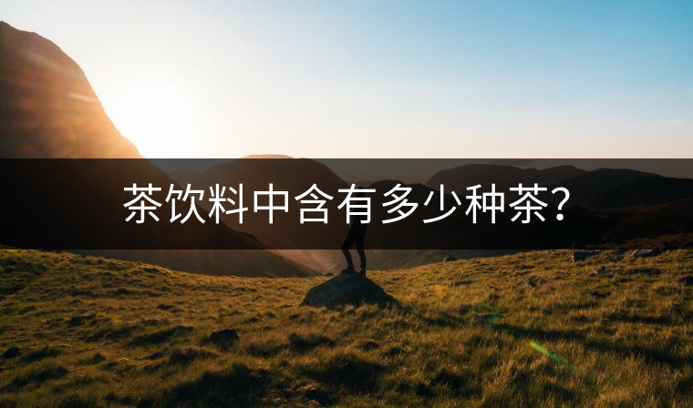 茶飲料中含有多少種茶？