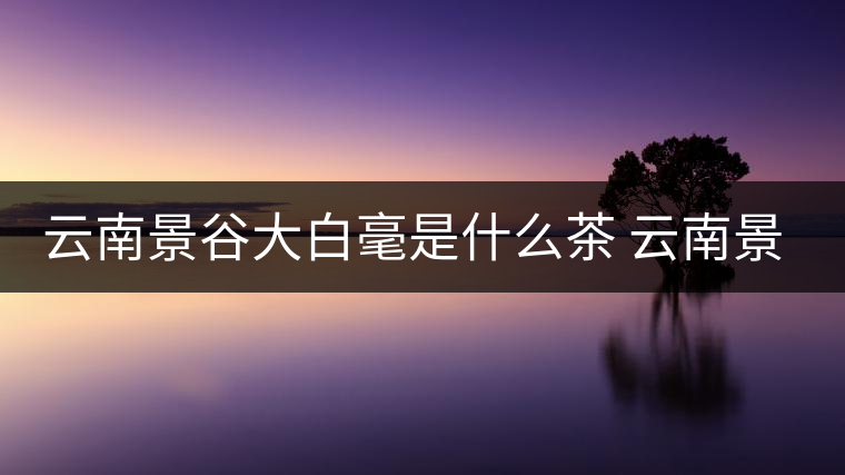 云南景谷大白毫是什么茶 云南景谷大白毫怎么泡好喝 云南景谷大白毫是什么茶 云南景谷大白毫怎么泡好喝