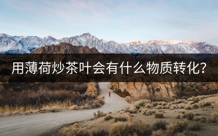 用薄荷炒茶葉會有什么物質(zhì)轉(zhuǎn)化？