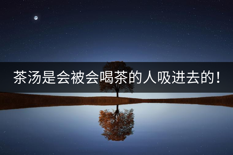 茶湯是會被會喝茶的人吸進(jìn)去的！