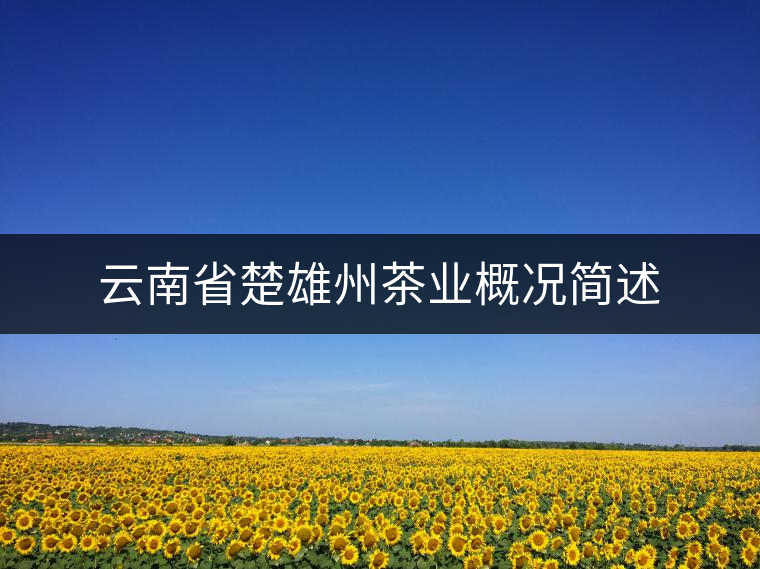 云南省楚雄州茶業(yè)概況簡(jiǎn)述 云南省楚雄州茶業(yè)概況簡(jiǎn)述