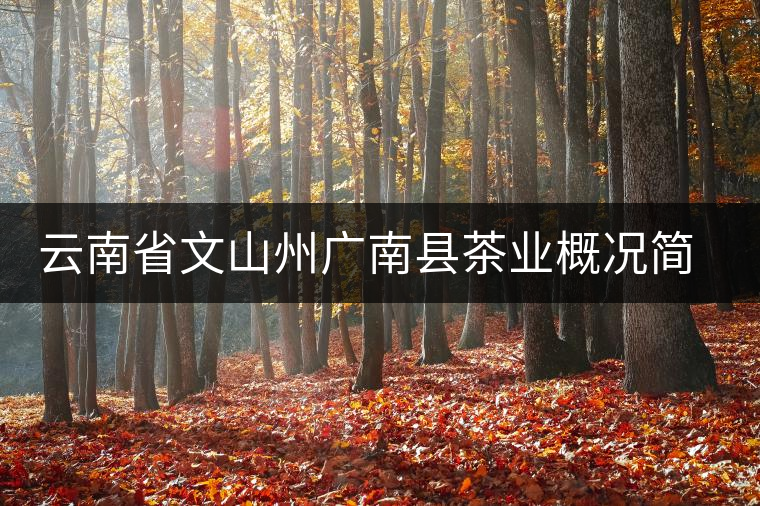 云南省文山州廣南縣茶業(yè)概況簡述 云南省文山州廣南縣茶業(yè)概況簡述