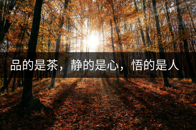 品的是茶，靜的是心，悟的是人生，滌的是靈魂