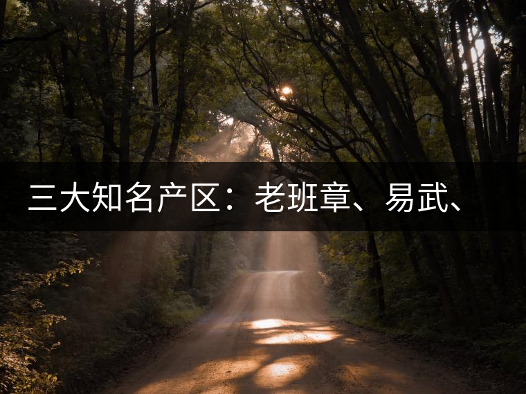 三大知名產(chǎn)區(qū)：老班章、易武、景邁三大茶系都有哪些特點！