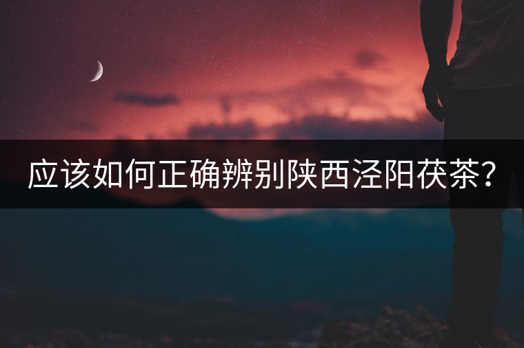 應該如何正確辨別陜西涇陽茯茶？