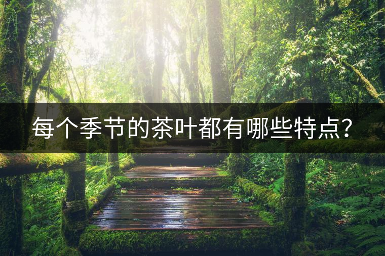 每個(gè)季節(jié)的茶葉都有哪些特點(diǎn)？