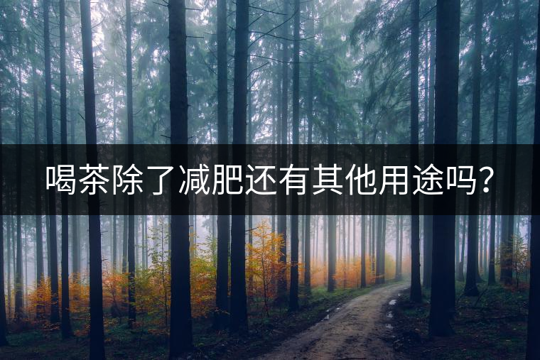喝茶除了減肥還有其他用途嗎？