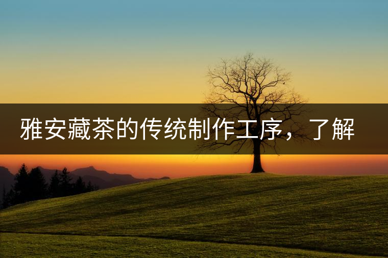 雅安藏茶的傳統(tǒng)制作工序，了解了傳統(tǒng)技藝才能更好的了解茶品！