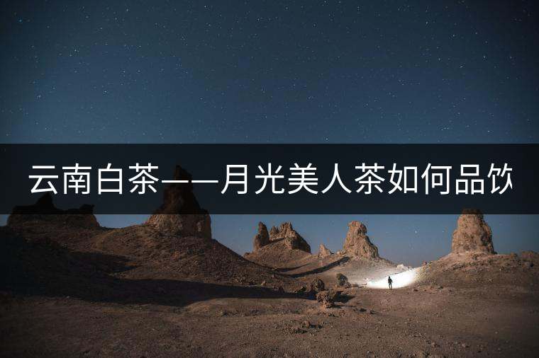 云南白茶——月光美人茶如何品飲？