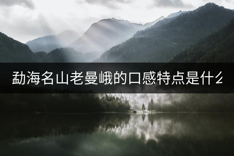勐海名山老曼峨的口感特點(diǎn)是什么？