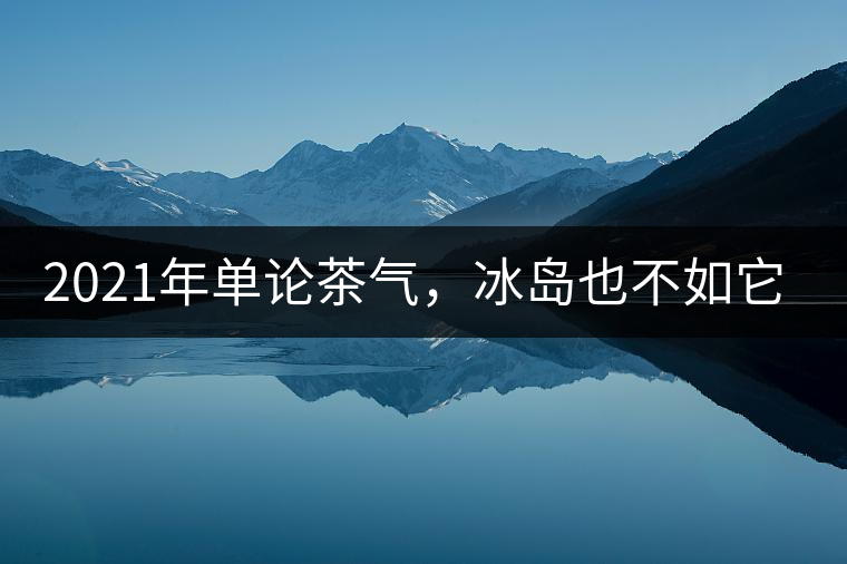 2021年單論茶氣,冰島也不如它-磨烈古樹(shù)秋 2021年單論茶氣,冰島也不如它-磨烈古樹(shù)秋