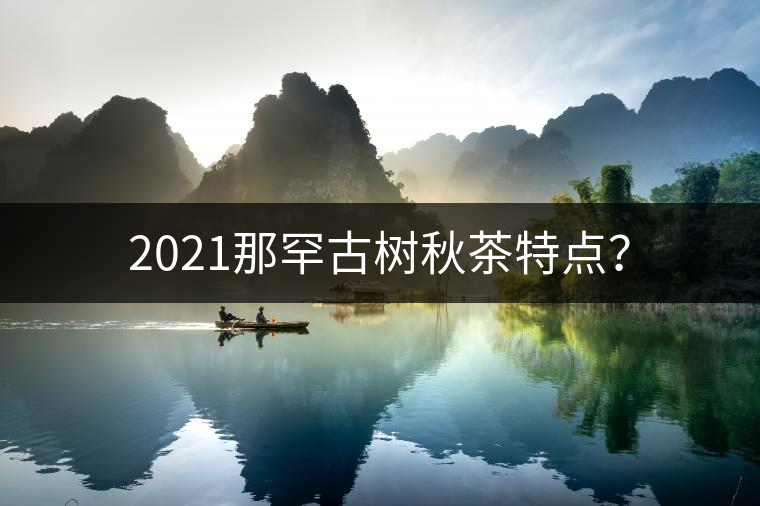 2021那罕古樹秋茶特點(diǎn)？