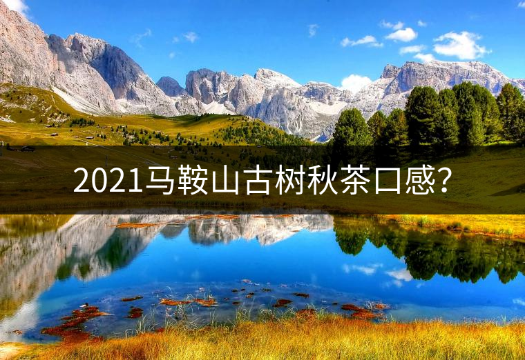 2021馬鞍山古樹秋茶口感？