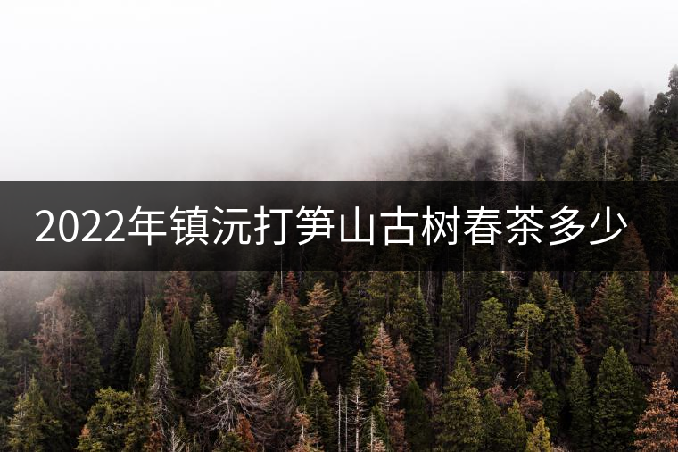 2022年鎮(zhèn)沅打筍山古樹春茶多少錢一公斤？