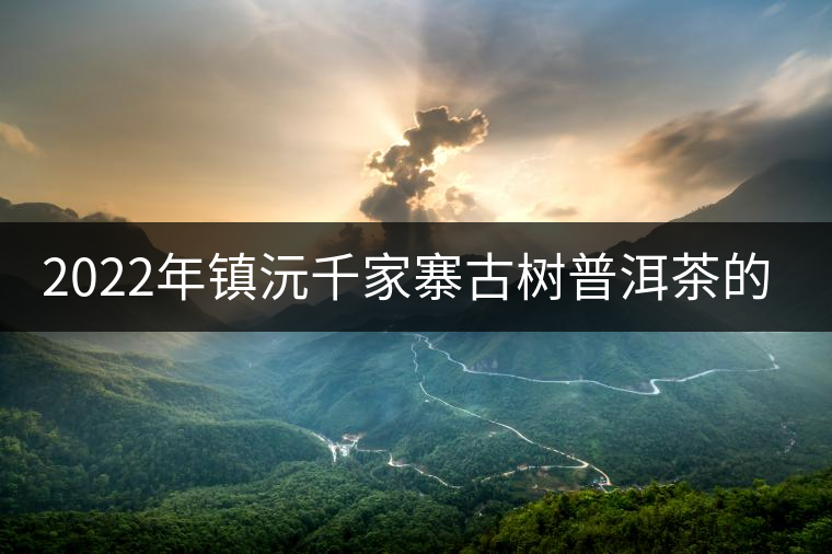 2022年鎮(zhèn)沅千家寨古樹(shù)普洱茶的傳說(shuō) 2022年鎮(zhèn)沅千家寨古樹(shù)普洱茶的傳說(shuō)
