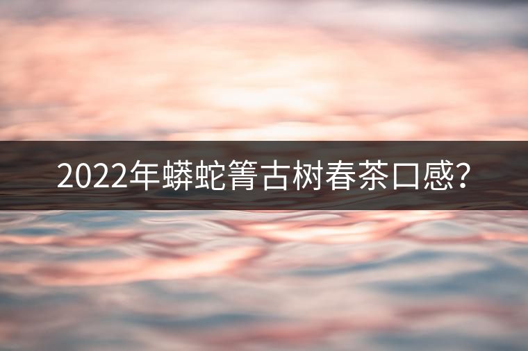 2022年蟒蛇箐古樹春茶口感？