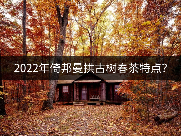 2022年倚邦曼拱古樹春茶特點(diǎn)？