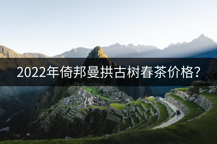 2022年倚邦曼拱古樹春茶價(jià)格？