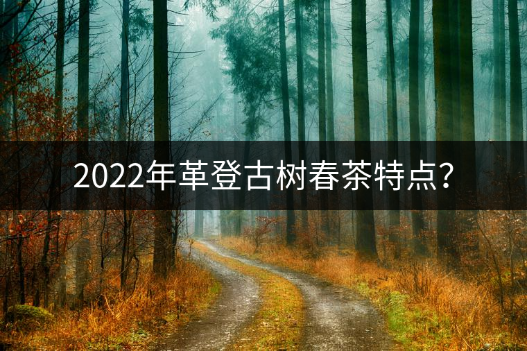 2022年革登古樹春茶特點(diǎn)？