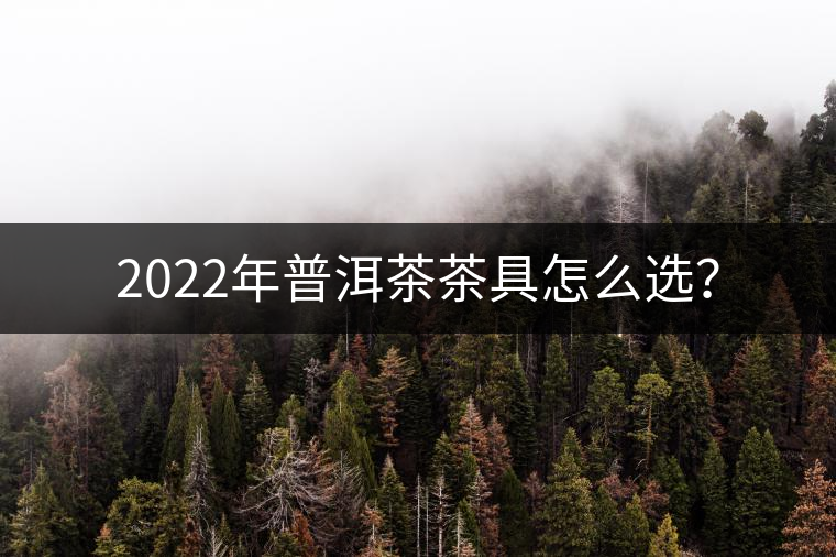 2022年普洱茶茶具怎么選？