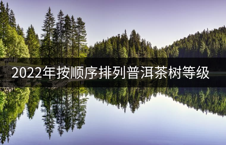 2022年按順序排列普洱茶樹等級 怎么分? 2022年按順序排列普洱茶樹等級 怎么分?