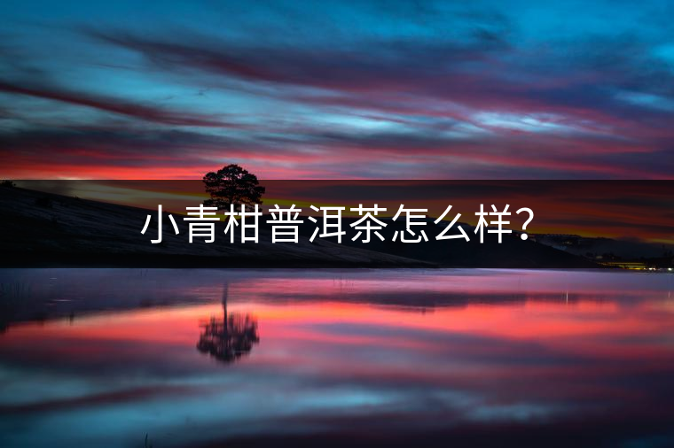 小青柑普洱茶怎么樣？