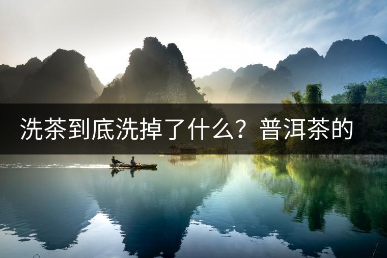 洗茶到底洗掉了什么？普洱茶的農(nóng)藥殘留真的可以洗掉嗎？