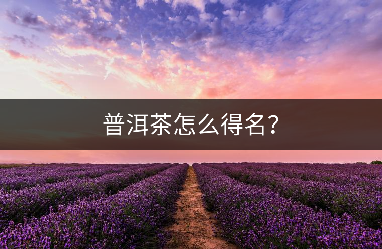普洱茶怎么得名？