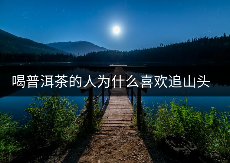 喝普洱茶的人為什么喜歡追山頭？無非就是這幾個(gè)原因