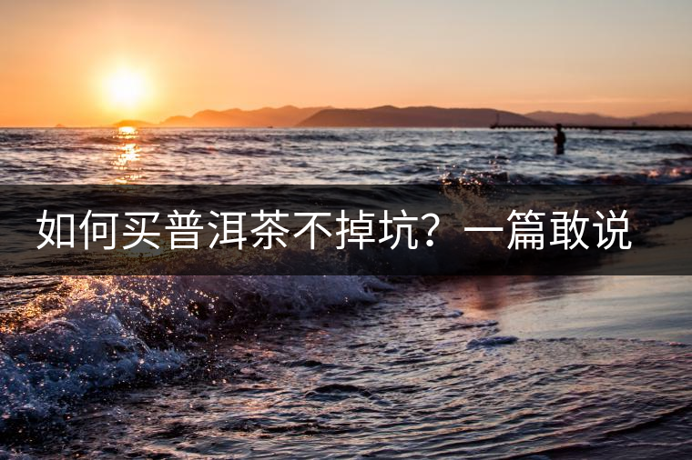 如何買普洱茶不掉坑？一篇敢說真話的良心之作。