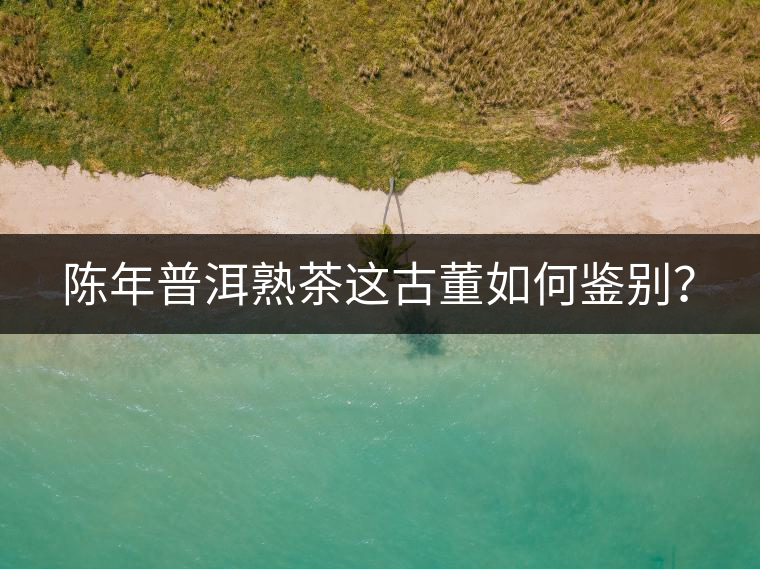 陳年普洱熟茶這古董如何鑒別？