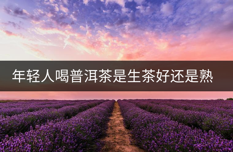 年輕人喝普洱茶是生茶好還是熟茶好？該怎么選擇？