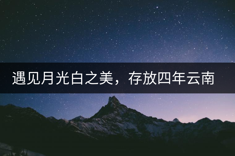 遇見月光白之美，存放四年云南古樹白茶