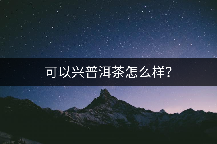 可以興普洱茶怎么樣？