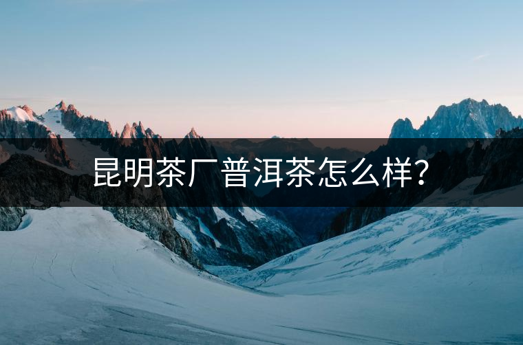 昆明茶廠普洱茶怎么樣？