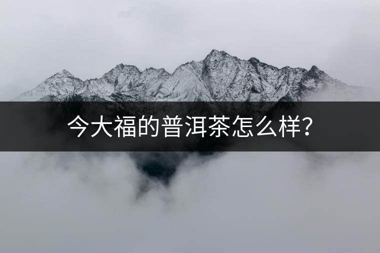 今大福的普洱茶怎么樣？