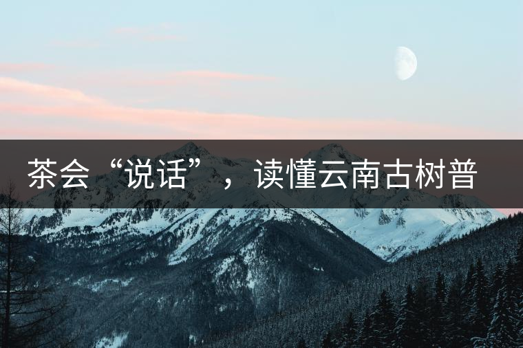 茶會(huì)“說話”，讀懂云南古樹普洱茶的秘訣