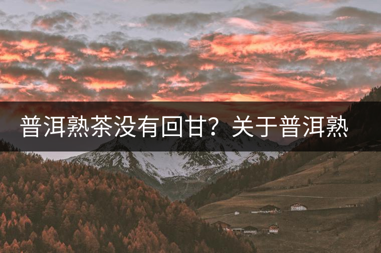 普洱熟茶沒有回甘？關于普洱熟茶的這些知識你必須知道！