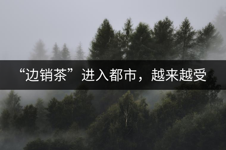 “邊銷茶”進入都市，越來越受人們青睞