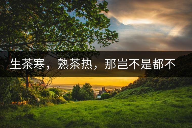 生茶寒，熟茶熱，那豈不是都不能喝了？丨實用