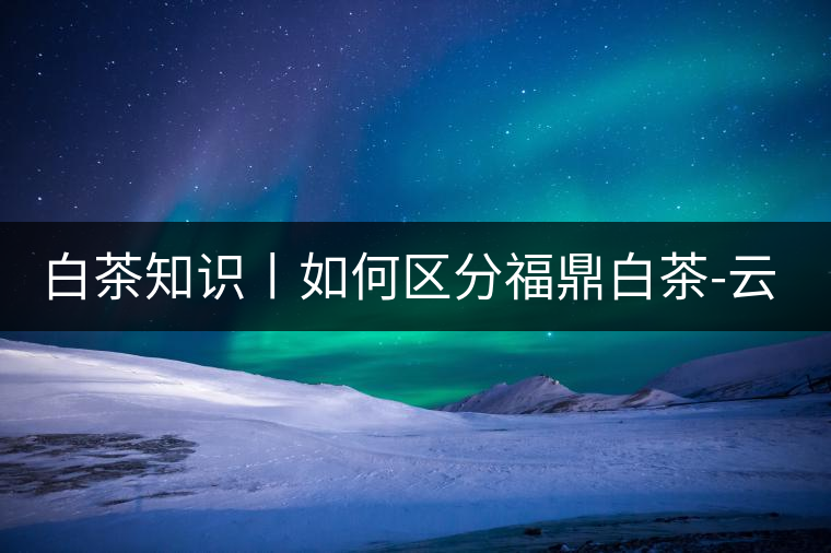 白茶知識(shí)丨如何區(qū)分福鼎白茶-云南月光白-安吉白茶 白茶知識(shí)丨如何區(qū)分福鼎白茶-云南月光白-安吉白茶