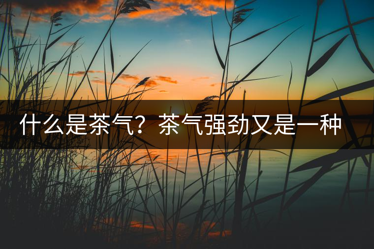 什么是茶氣？茶氣強(qiáng)勁又是一種怎樣的體驗(yàn)？