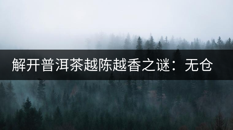解開普洱茶越陳越香之謎:無倉(cāng)不成普洱 解開普洱茶越陳越香之謎:無倉(cāng)不成普洱